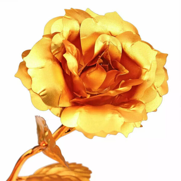 Rosa Banhada a Ouro + Caixa [Dourada] - Imagem 6