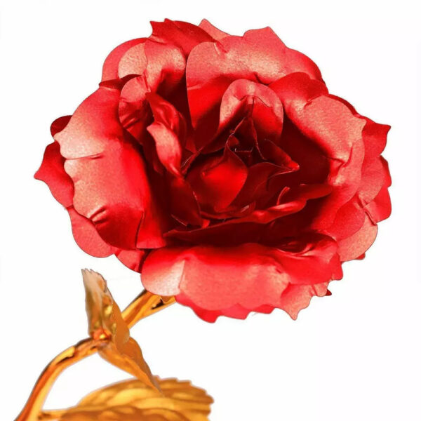 Rosa Banhada a Ouro + Caixa [Vermelha] - Imagem 4