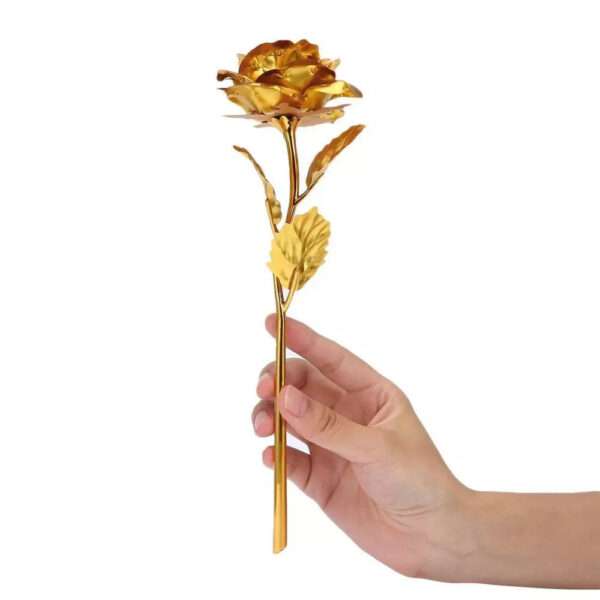 Rosa Banhada a Ouro + Caixa [Dourada] - Imagem 7