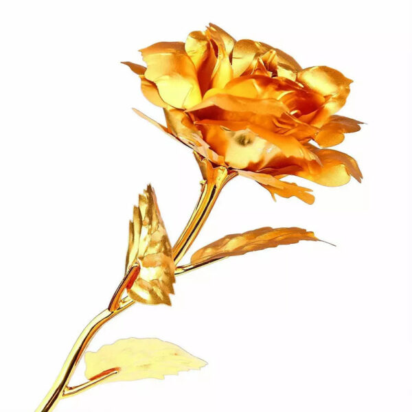 Rosa Banhada a Ouro + Caixa [Dourada] - Imagem 4