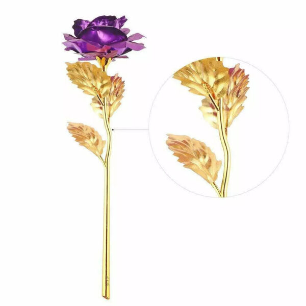 Rosa Banhada a Ouro + Caixa [Roxo] - Imagem 5