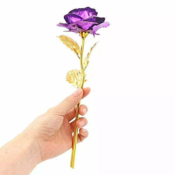 Rosa Banhada a Ouro + Caixa [Roxo] - Imagem 4